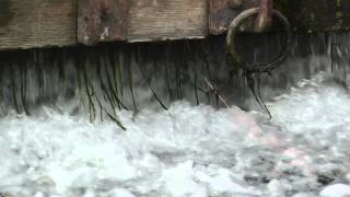 River 6
The video clips on this channel are created by me as a hobby. They are not professionally produced, but I do try to maintain a reasonable level of quality. This HD footage is for anyone to use Royalty Free under the Creative Commons Licence.
LICENSE AGREEMENT
This clip is 100% royalty free, and may be freely
used by any YouTuber in their own videos.
If you use any clip from this channel, please add
the following link in your videos description box...
http://www.youtube.com/user/FreeHDVideoClips
or credit on the video itself.
It is not permitted to sell, redistribute, share
or pass-on this clip or claim it to be your own work.
Not to be used in pornography, or for the
spreading of hate, discrimination or violence.
ALL RIGHTS ARE RESERVED BY
THE CREATOR OF THIS WORK.
http://www.youtube.com/user/FreeHDVideoClips River 6