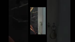 Funny Crush Vs Bas Funny Video