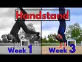 Learn the HANDSTAND in 3 Weeks | Handstand Tutorial