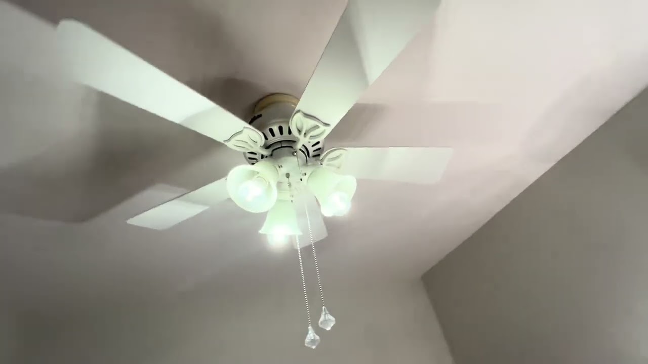 Another Ceiling Fans in My House 