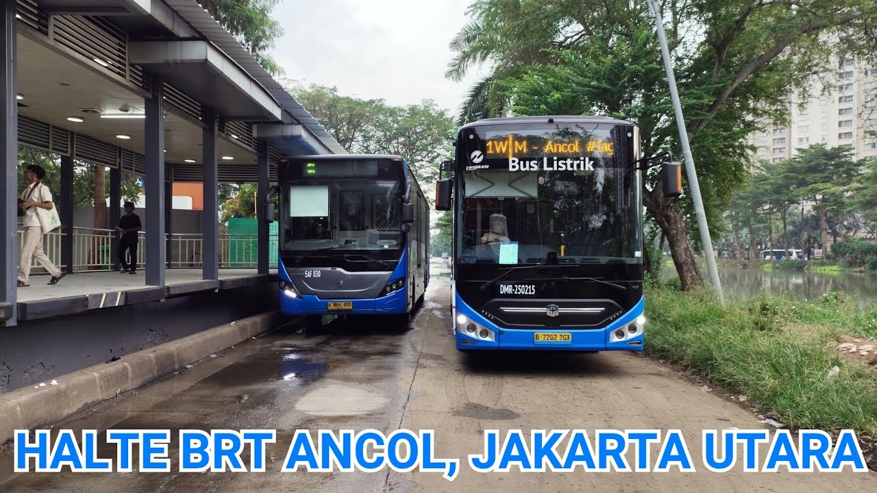 🔵Halte BRT Ancol, Jakarta Utara (Part 2) - TransJakarta Bus Spotters #21 