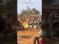 شعر الرفيق 