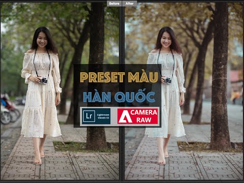 Tặng Preset Màu Hàn Quốc Áp Hàng Loạt Trong Lightroom & Camera Raw | Free Presets | Lavender Channel