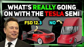 Tesla FSD v12.3 - The One? Egregious Reporting on Tesla Are We Being Scammed?