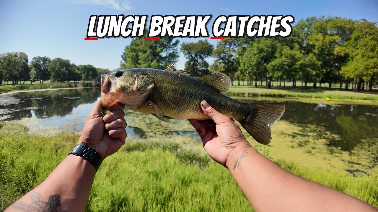 Lunch Break Bass Fishing – Can I Catch One in Time?