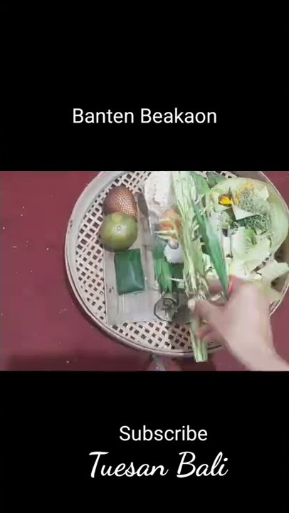 banten beakaon #bali #culture