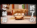 YouTubeチャンネル終了のお知らせ
