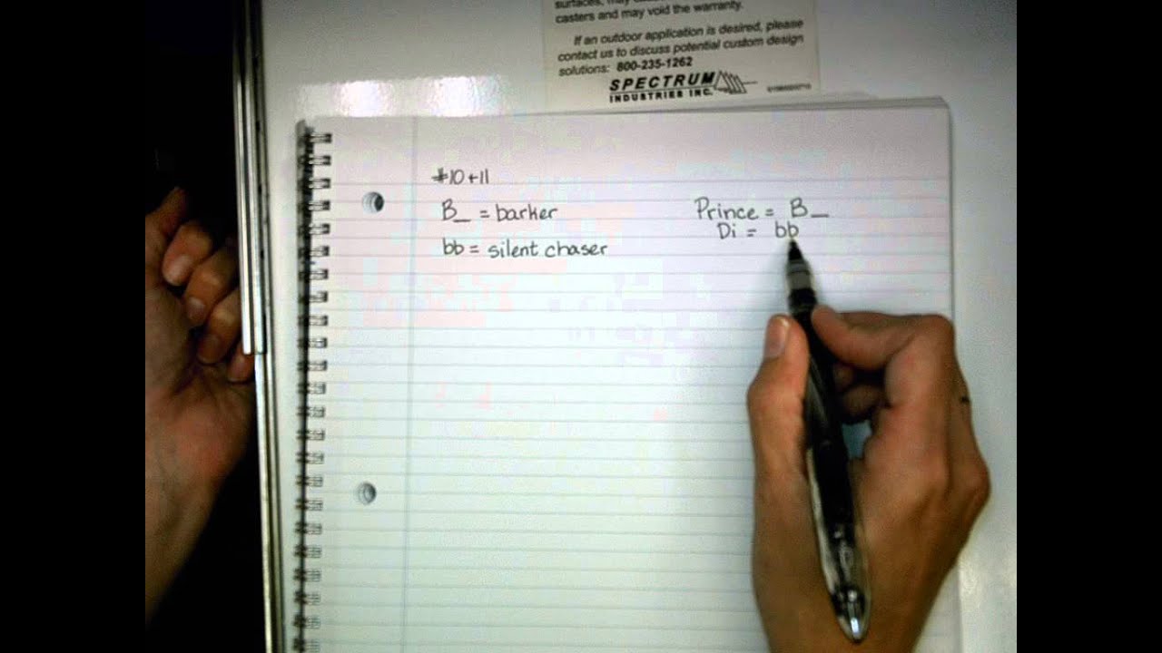 Genetics Practice Problems 10 and 11 - YouTube