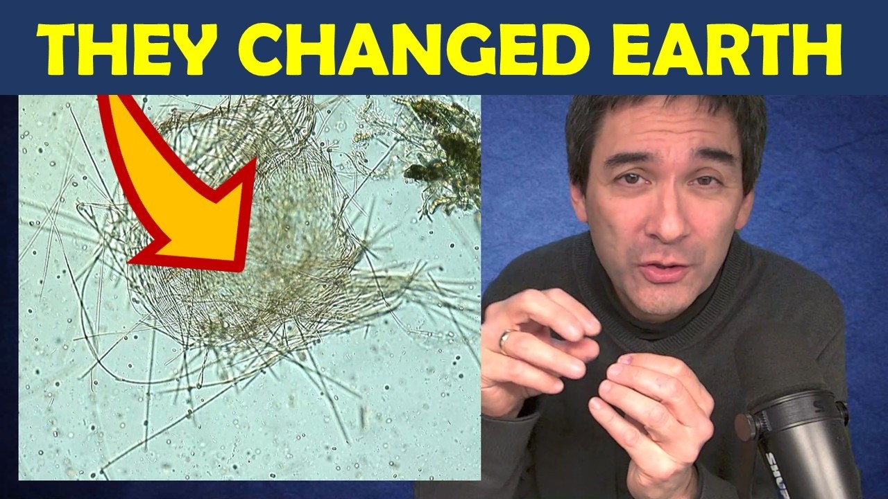 🔬 One of the oldest microbes - YouTube