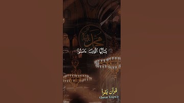 إن الله وملائكته يصلون على النبى #سورة_الأحزاب #القرآن_الكريم #ياسر_الدوسري#اكسبلور#راحة_نفسية #لايك