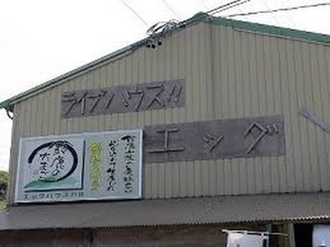 Live House EGG 10Th Anniversary Live