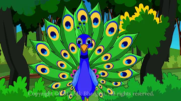 Peacock Rhyme
