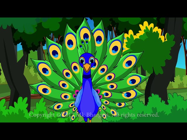Peacock Rhyme class=