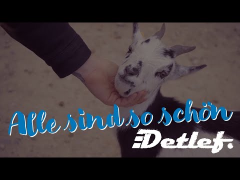 Detlef - Human Resources 2
