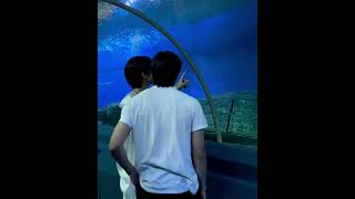 Its Aquarium Date Long Lee X Frank
