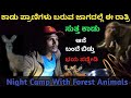 Night camp in forest  animals   whole night     kannada  avatar shiva official