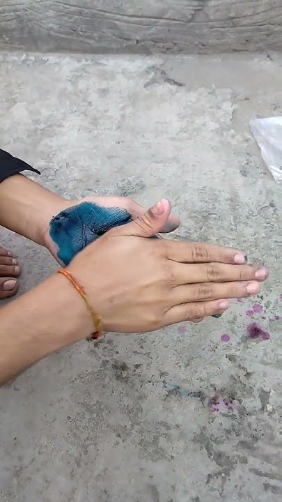 holi pakka colour
