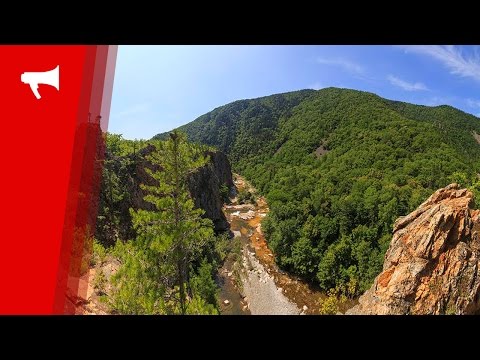Нацпарк "Зов тигра"