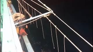 story wa nelayan juwana