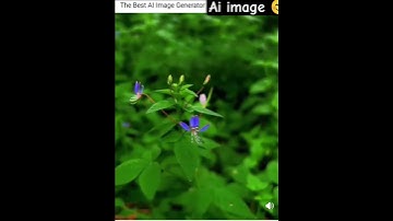 ai image generator #ai #aiimagegenerator #aivideo