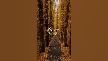 حالات واتس قرآن|القارئ أحمد العجمي