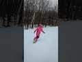 Little Pink Rider
