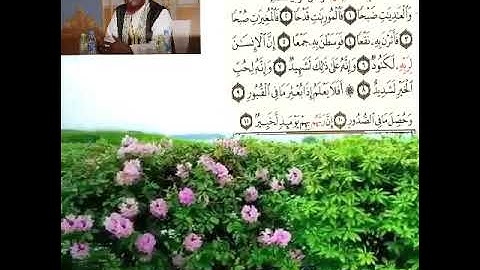 TAFSIIRKA ♥️سورة العاديات♥️