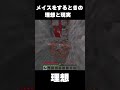 メイスをするときの理想と現実#マイクラ #マインクラフト #shorts