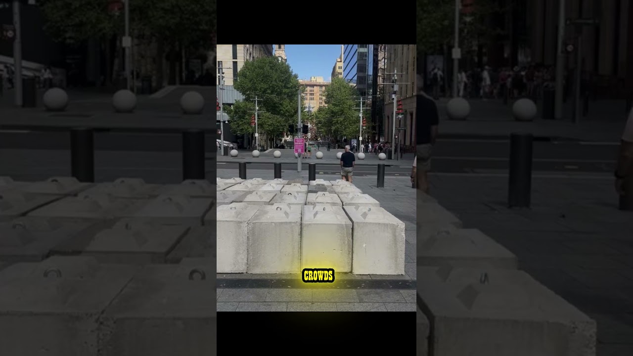 Sydney New Year Celebration, People are worried to go out ? are you ? 