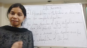 Class X science 13 04 2021 by Ms Mridulata upadhyay Life processes