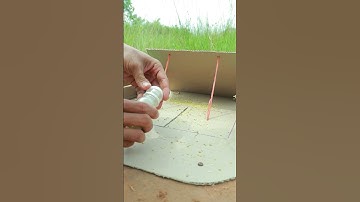 DIY Unique Quail Trap Using Carabao Box And Hole #shortvideo #mytraps