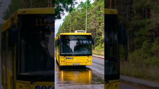 МАЗ 205