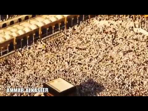 خودنى والله معاكم يا زوار النبى