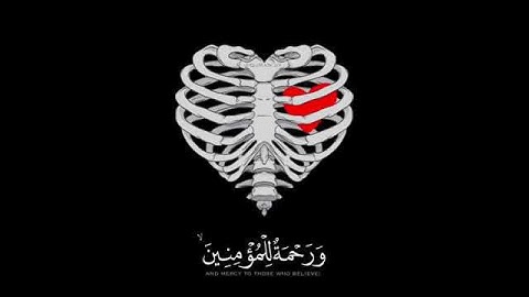 🎧💜 آيات من القرآن الكريم 📖🎈