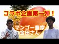 沖縄県東村！マンゴー栽培1年目！ 減農薬で作る金田さんのマンゴーの見学！