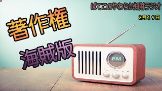 同人誌の海賊版サイトが賠償金を命じられた話（著作権）