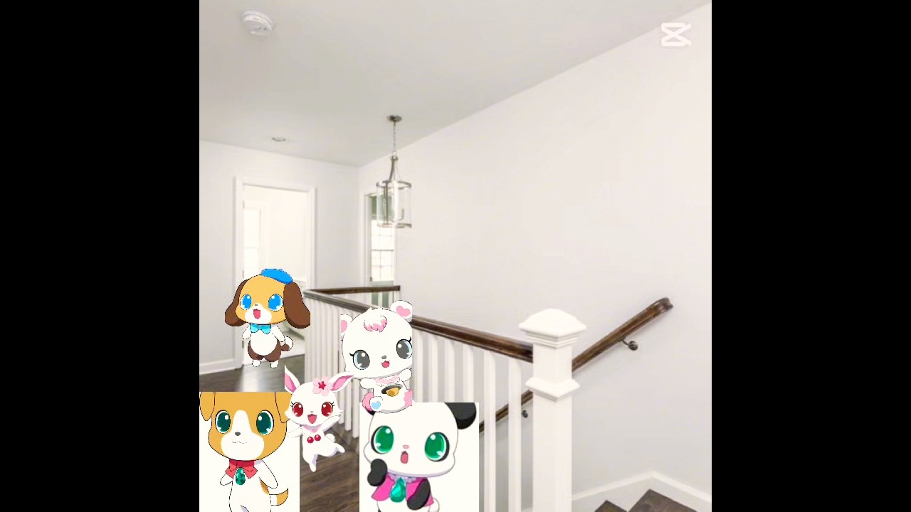 Rinko gets phones ruby and labra and rald and chite and roku are the best and most likely￼￼ bedrooms