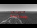 Hockley county milo harvest