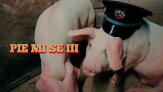 Marso x Bobkata x Tsvetina - Pie mi se III (Official Video)prod. by Todorov