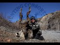 Hunting Tajikistan: Marco Polo Sheep and Bukharan Markhor Hunting in Tajikistan 2019