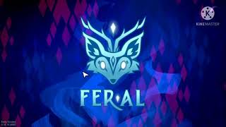 My 1st enigma in feral