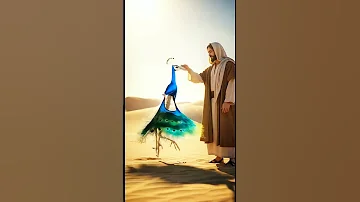 Jesus Is Lord Bible Love 