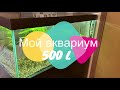 Мой пресный аквариум на 500 литров