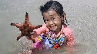 Baby Playing Star Fish and Beach Sand - Donna The Explorer