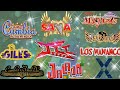 LAS CUMBIAS MAS PERRONAS MIX, RAYMIX, GRUPO JALADO, ICC, KUAL, GILES, LOS DEAKINO, SON TEPITO,