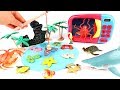 Let Fishing Sea Animals wooden puzzle! Transform Real Sea Animal by Putting Microwave Oven.