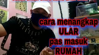 cara menangkap ULAR yg masuk ke dalam rumah // #nangkapular