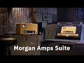 Morgan amps suite