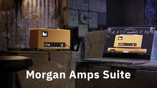 Morgan Amps Suite screenshot 2