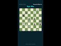 ⚡ Rainer Polzin vs Alexander Motylev | Epic Chess Win You Must See! #chess #shorts